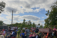 Folk In The Orchard 2024